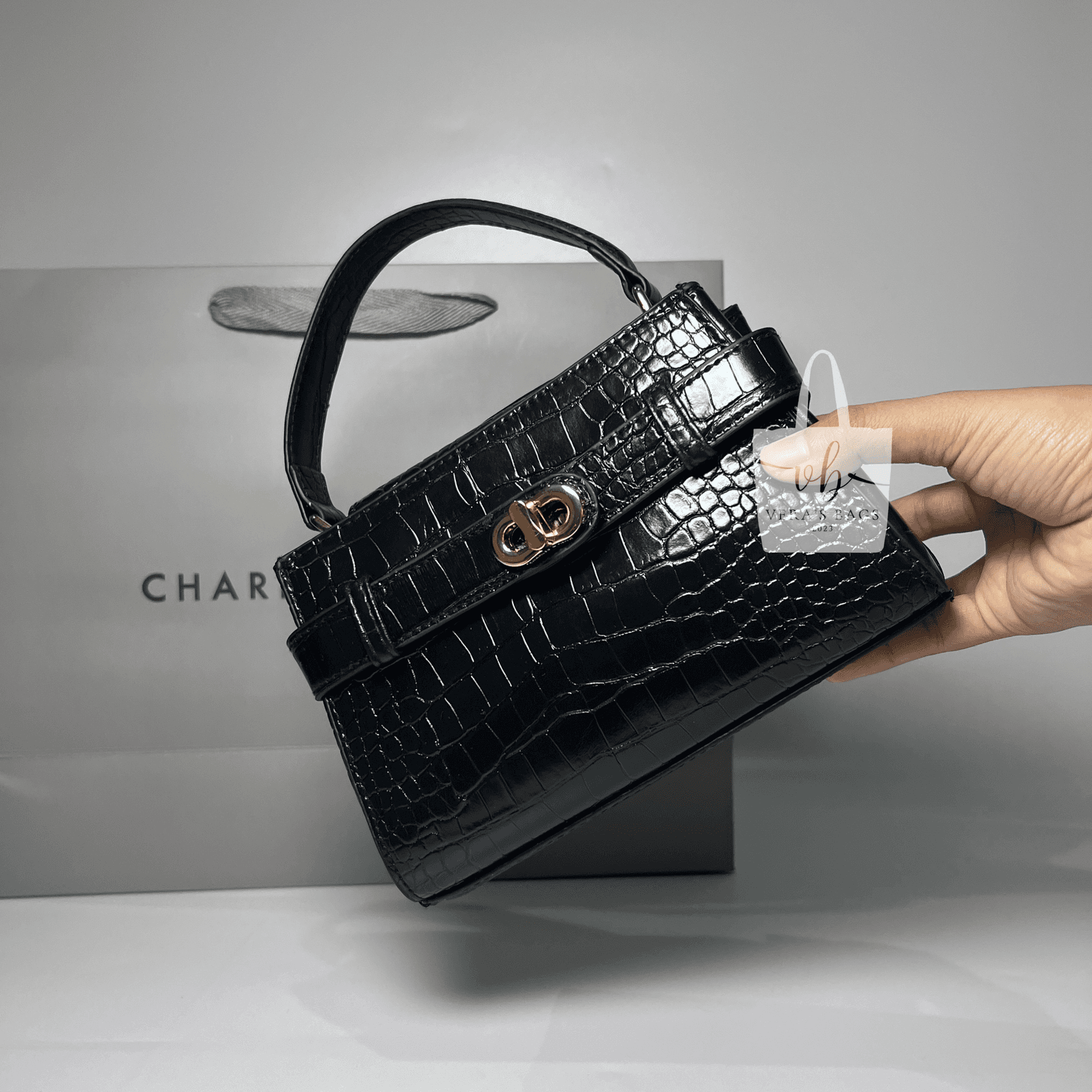 Charles & Keith Aubrielle thumbnail 2